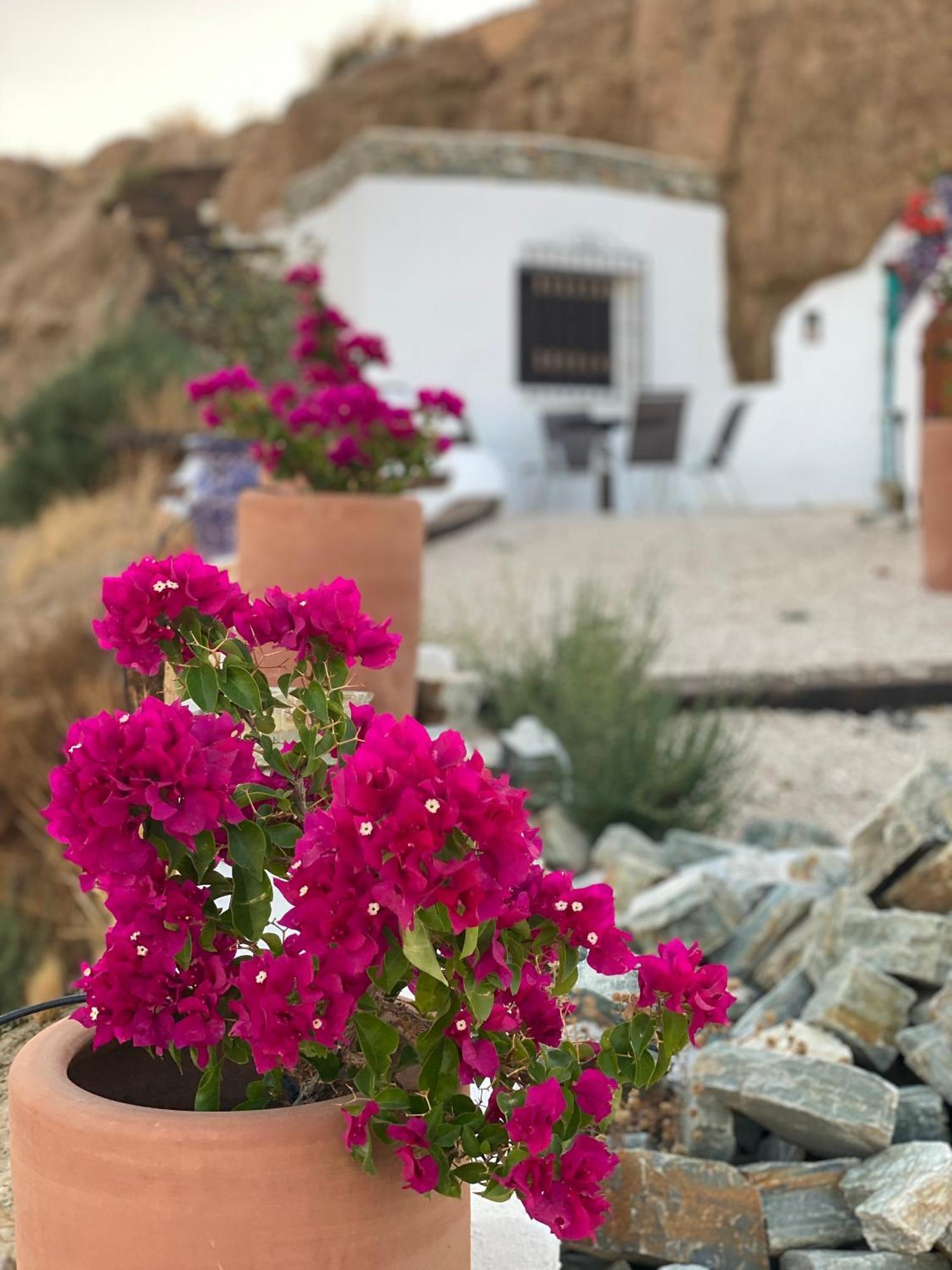Cuevas Oro Y Arcilla Villa Гуадикс Екстериор снимка